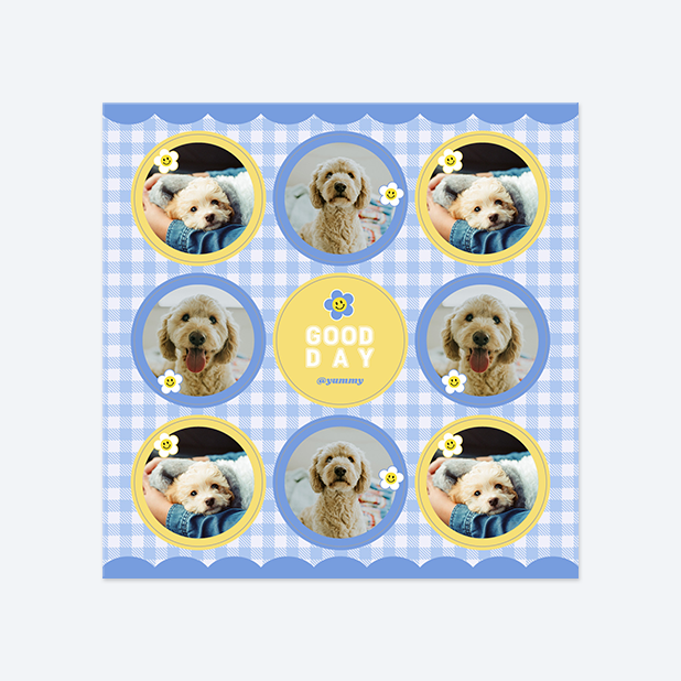 판스스퀘어 원형