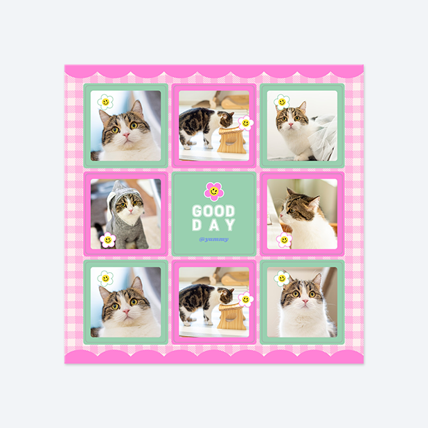 판스스퀘어 정사각형