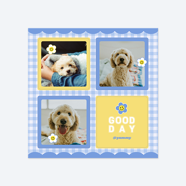 판스스퀘어 정사각형