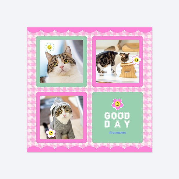 판스스퀘어 정사각형